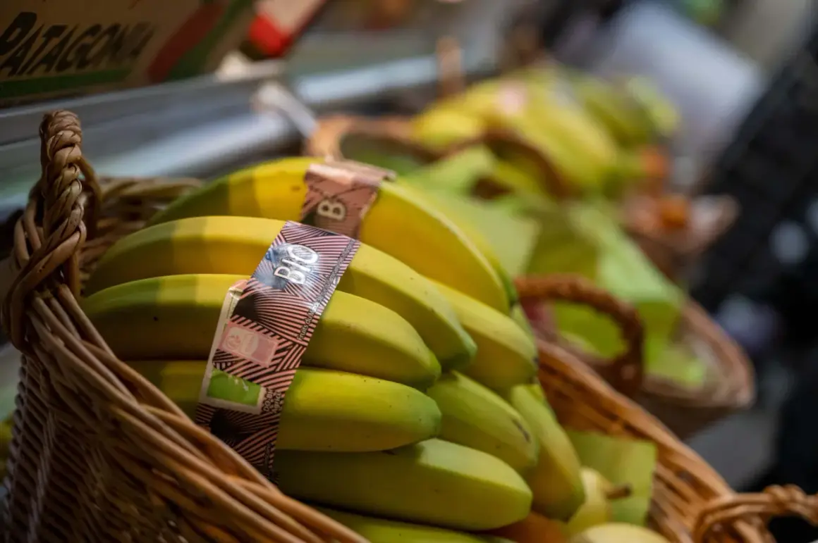 En korg med ekologiska bananer, perfekt för frukt på jobbet.
