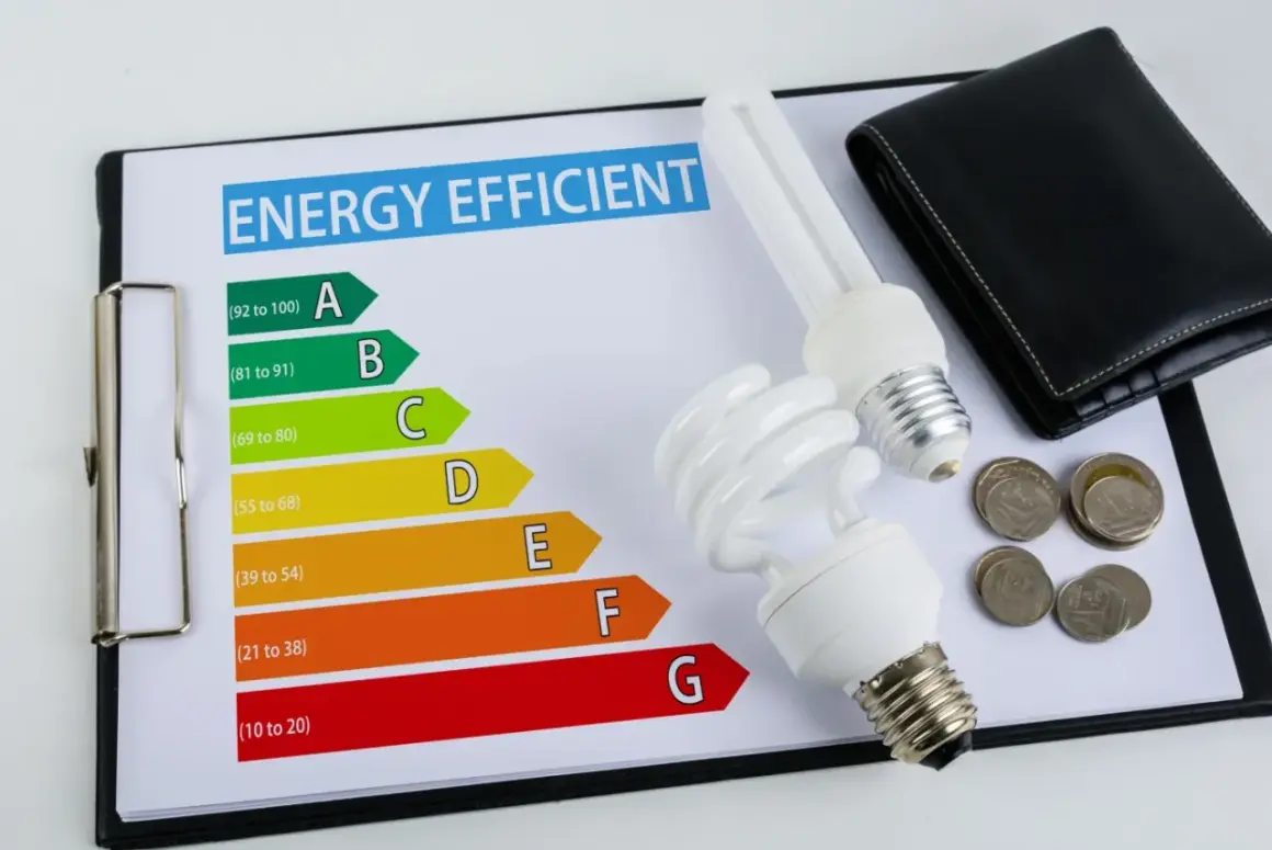 Karta efektywności energetycznej z żarówkami i monetami. Klasa energetyczna C oznacza średnią efektywność.