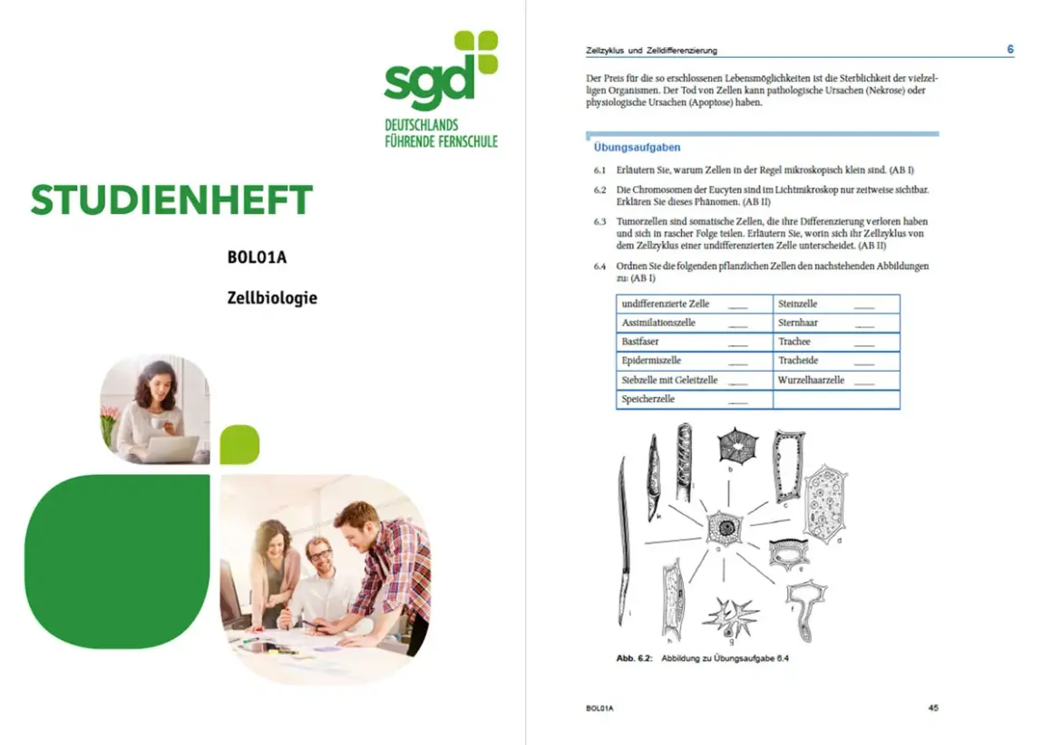 Studienheft Zellbiologie für das Fachabi Fernstudium. Übungsaufgaben zur Zellbiologie mit Abbildungen.