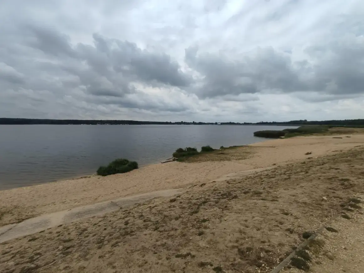 Plaża nad zalewem porajskim pod pochmurnym niebem. Woda spokojna, brzeg piaszczysty z kępami zieleni.