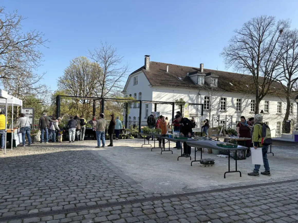 Menschen besuchen einen Markt mit Pflanzen und Ständen vor einem weißen Gebäude. Ein schönes Beispiel für Veranstaltungen in Bergisch Gladbach.