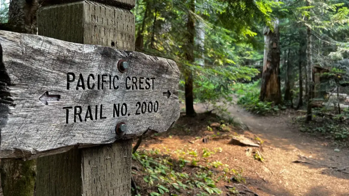Gammal träskylt visar "PACIFIC CREST TRAIL NO. 2000" med en pil. Skogsväg leder in i en grönskande skog.