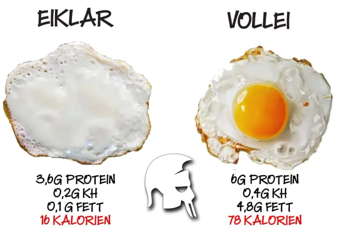 Spiegeleier: links nur Eiweiß (3,6g Protein), rechts das ganze Ei (6g Protein). Wähle weise für deine Ernährung!