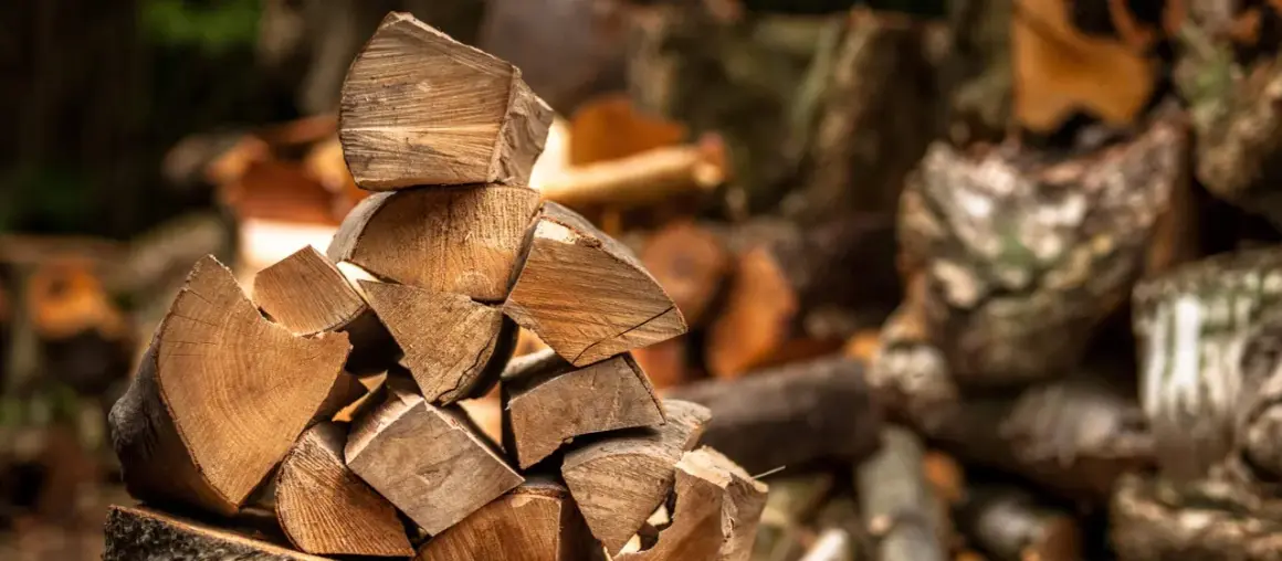 Pile of chopped firewood with visible wood grain and bark.