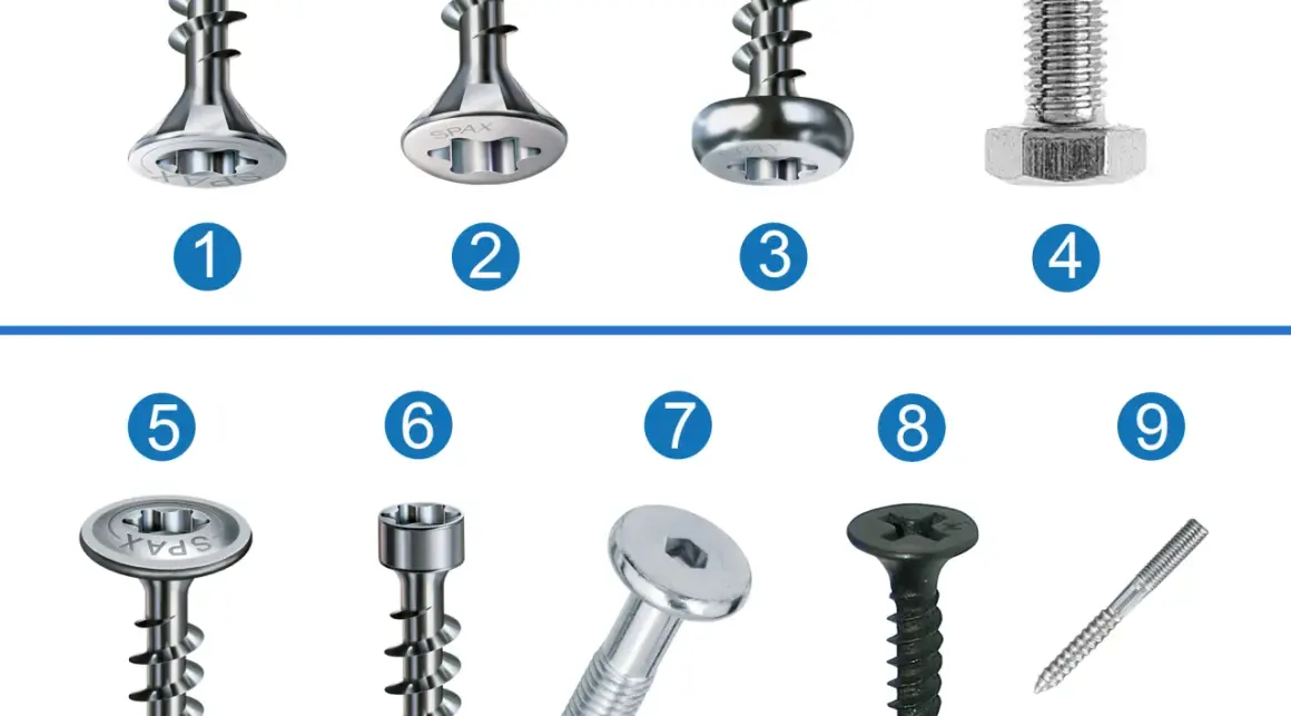Verschiedene schrauben arten, von links nach rechts: 1-3 und 5-9 sind Holzschrauben mit unterschiedlichen Köpfen, 4 ist eine Maschinenschraube.