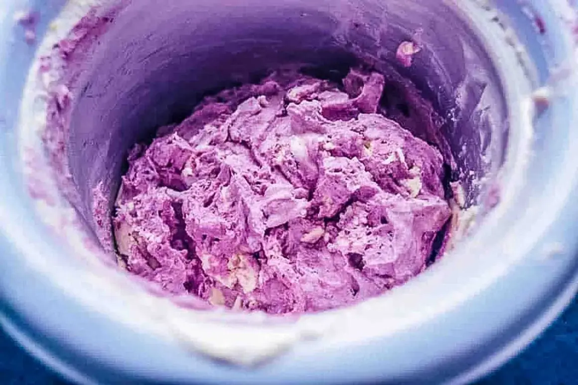 Frisch zubereitetes, lila gefrorenes Joghurt-Rezept in einer Eismaschine.
