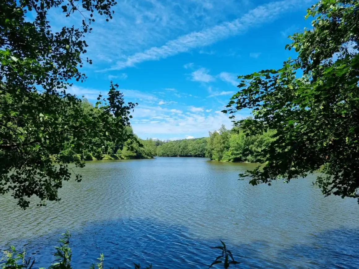 Ein ruhiger fluss im Bergischen Land, umrahmt von üppigem Grün unter einem strahlend blauen Himmel mit weißen Wolken.