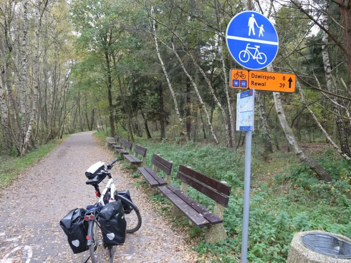 Ścieżka rowerowa Velo Baltica w jesiennym lesie. Rower z sakwami czeka obok ławek.