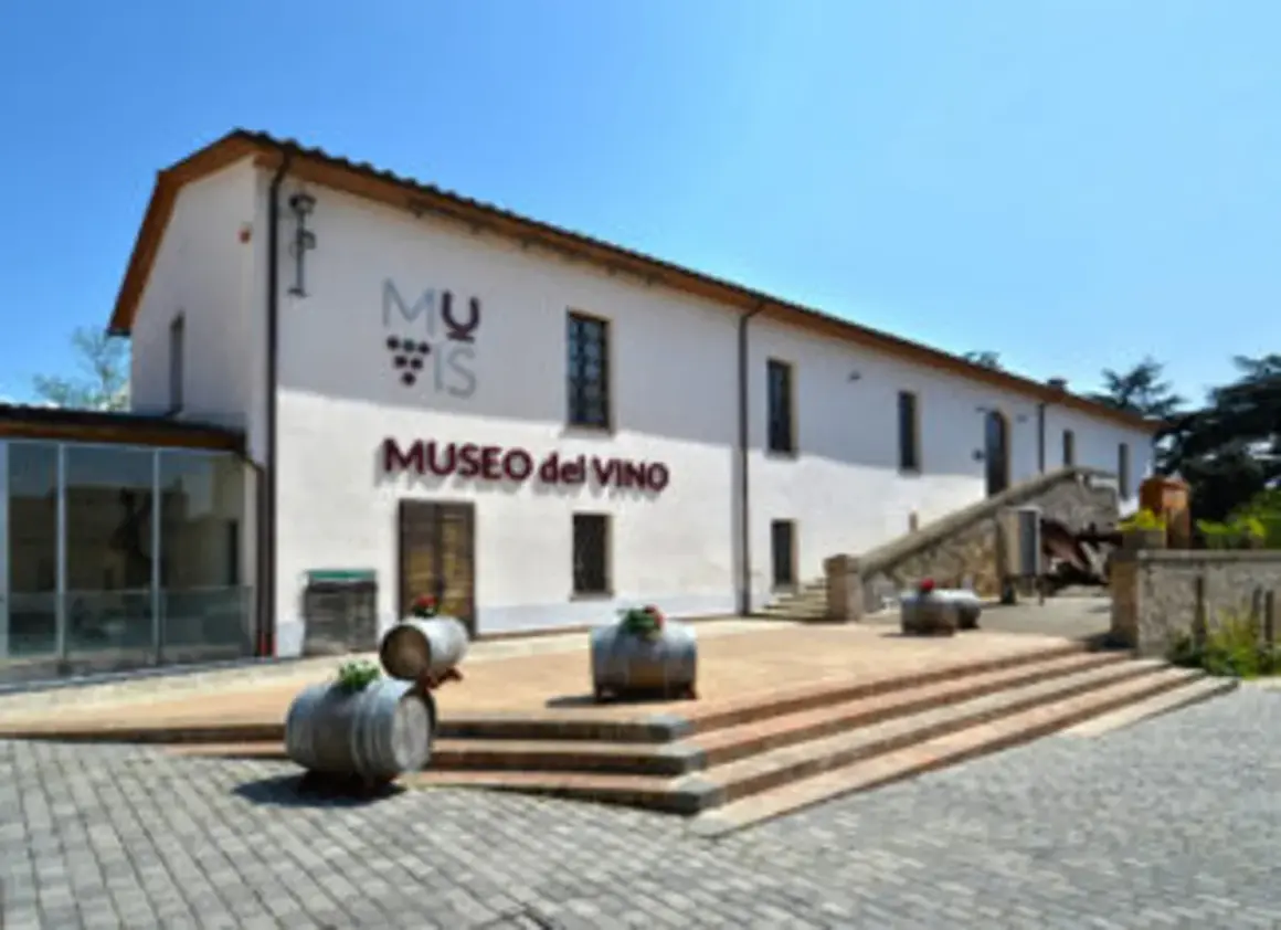 Museo del Vino a Castiglione in Teverina: cosa vedere per un'esperienza enogastronomica indimenticabile.