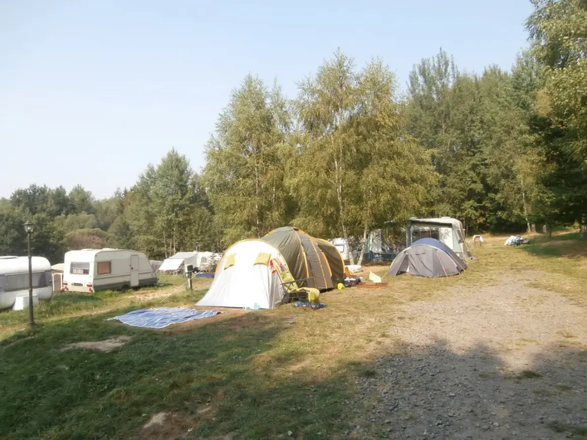 Na kempingu Złoty Potok rozstawione namioty i przyczepy kempingowe wśród drzew.