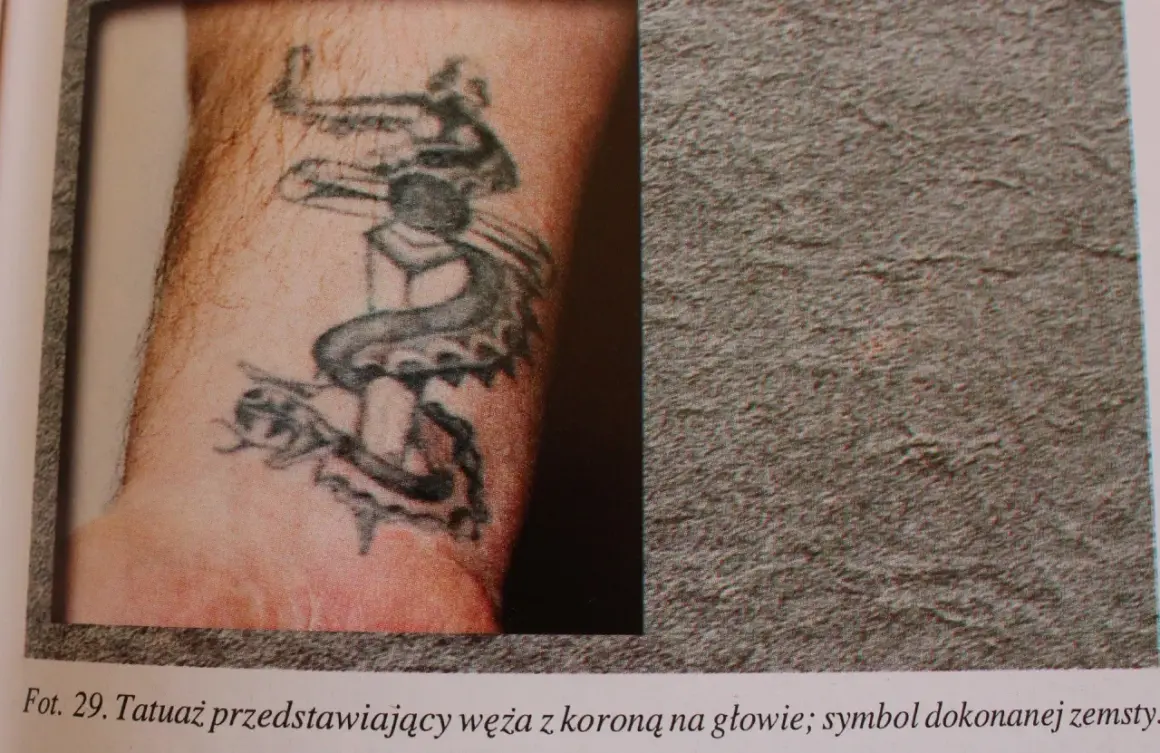 Vide cul fide tatuaż: wąż z koroną na głowie, symbol zemsty.