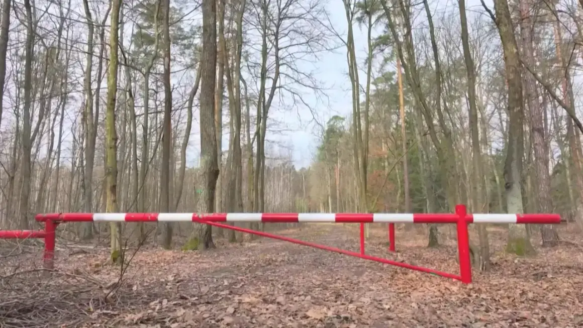 Przed nami szlaban z napisem "zakaz wjazdu do lasu". Droga leśna jest pusta, otoczona drzewami.