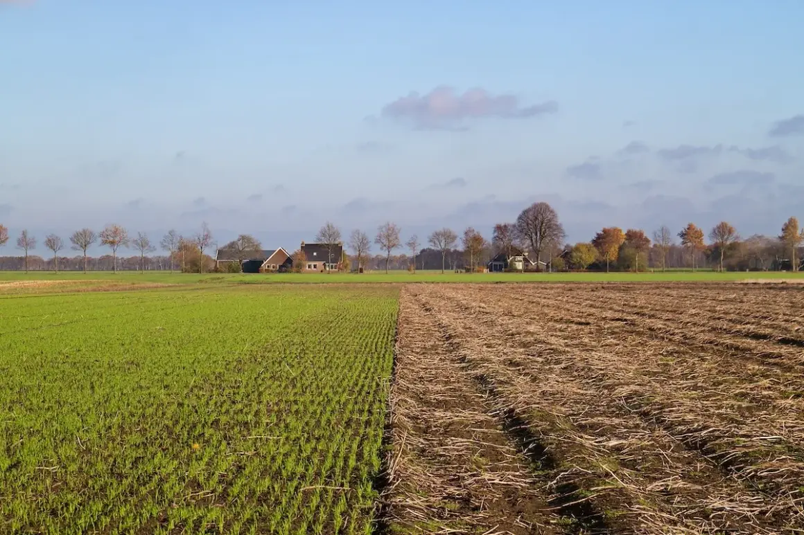 Campi verdi e arati, case rurali in lontananza. L'avvicendamento significato della natura, tra raccolto e riposo della terra.