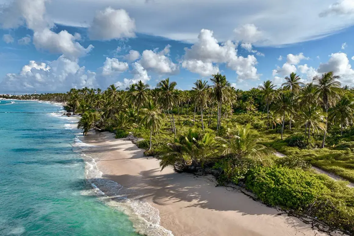 Rajska plaża z palmami i turkusową wodą, idealne miejsce na wakacje w Dominikana Punta Cana.