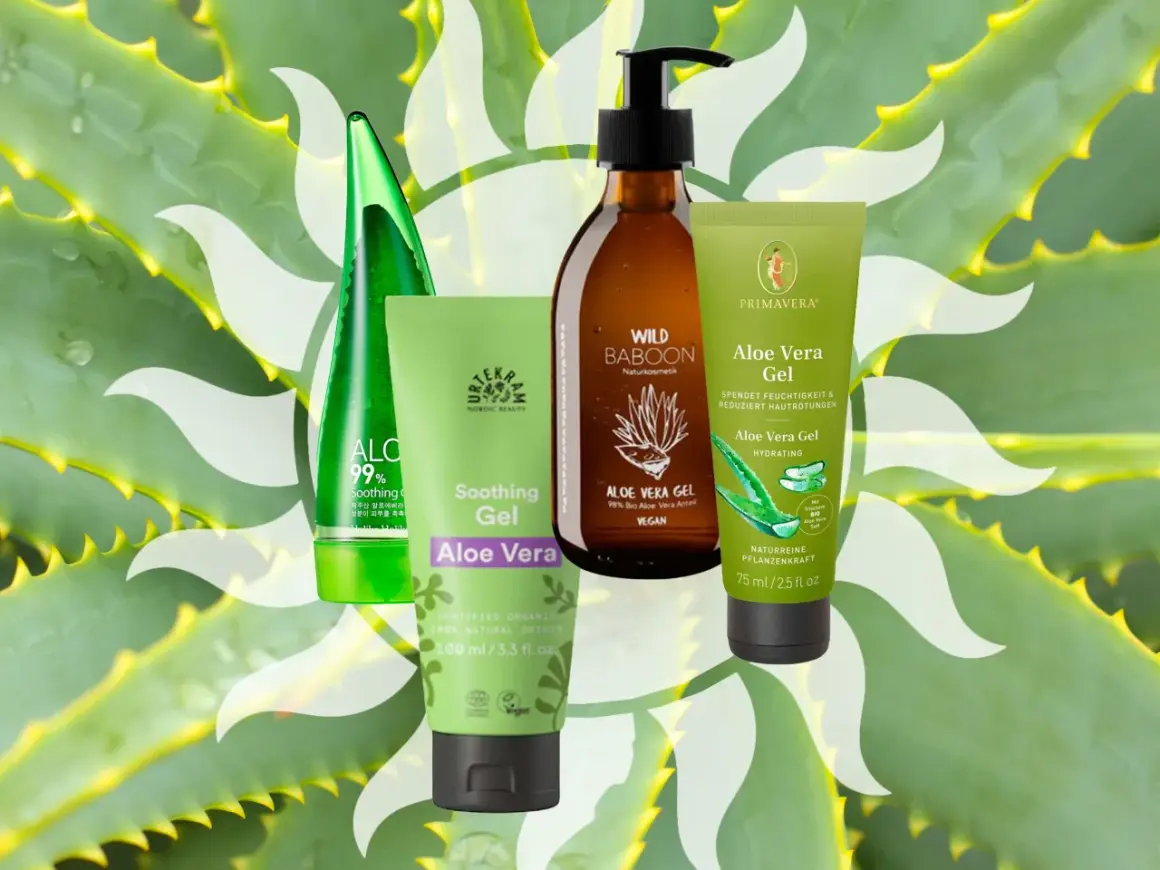Vier Produkte mit Aloe Vera Gel Naturkosmetik, umhüllt von Aloe-Vera-Blättern.