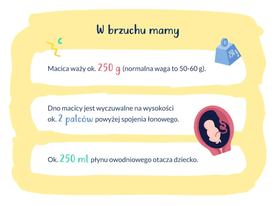 16 tydzień ciąży to już 4 miesiąc. Macica waży ok. 250 g, a dziecko otacza 250 ml płynu.