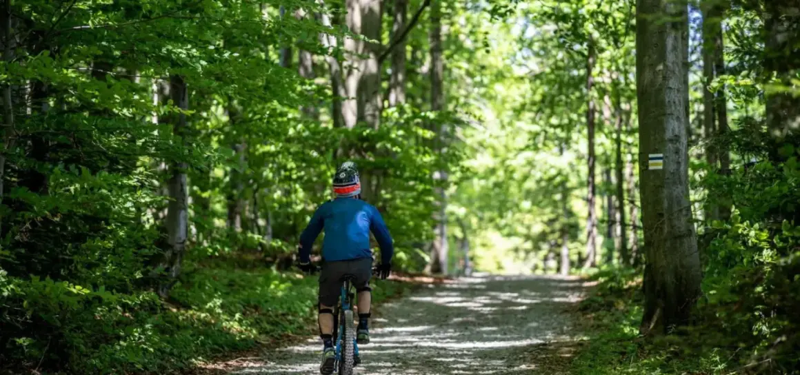 Rowerzysta na ścieżce leśnej, podążający za zielonym szlakiem. Słońce przebija się przez liście drzew.