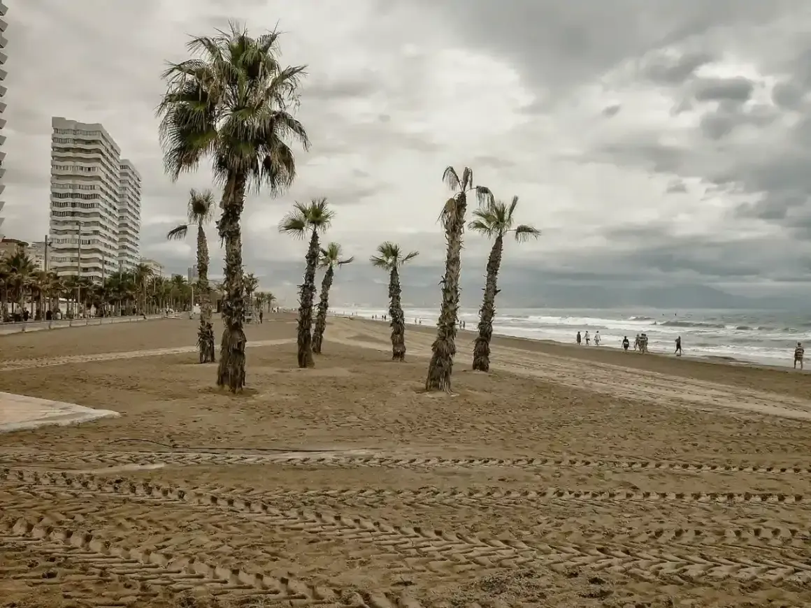 Palmeras en la cala de San Juan, con un edificio alto al fondo y gente paseando por la orilla.