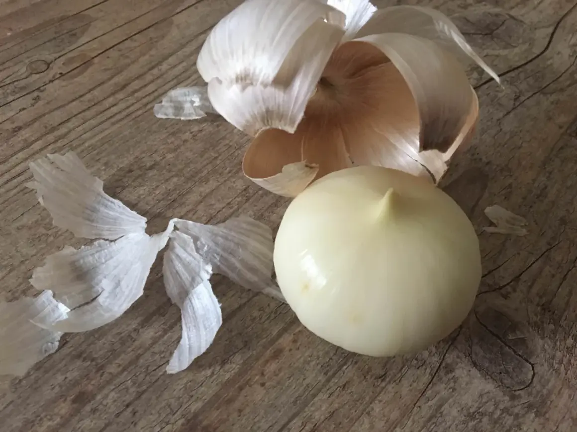 Eine geschälte Knoblauchfrucht liegt neben ihren papierartigen Schalen auf einer Holzoberfläche.
