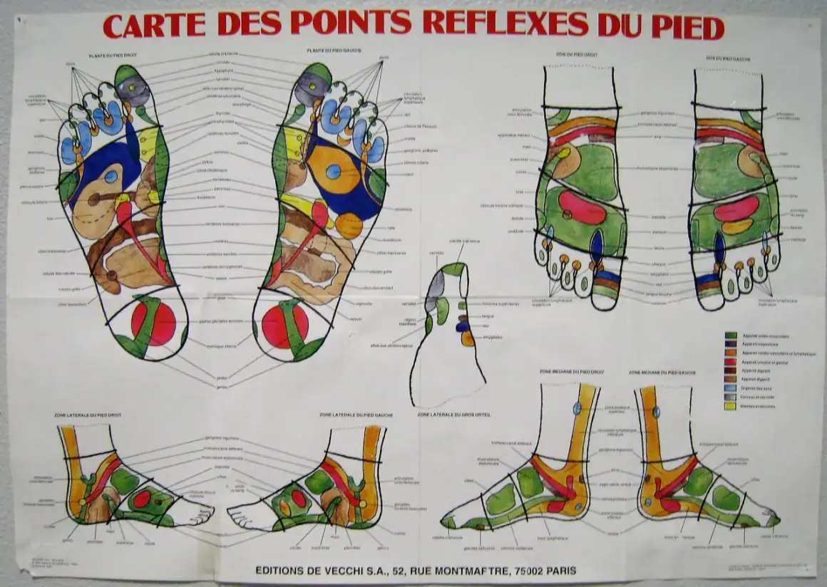 Carte des points réflexes du pied, un guide visuel pour le point reflexologie plantaire et ses bienfaits.