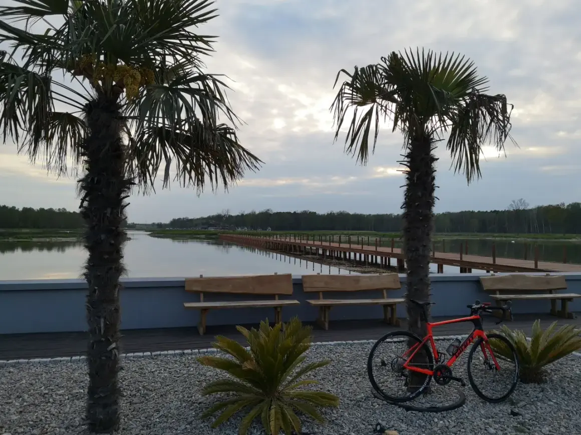 Pomarańczowy rower czeka na odkrycie **tras rowerowych Łódź** nad spokojną wodą, wśród palm i drewnianych ławek.