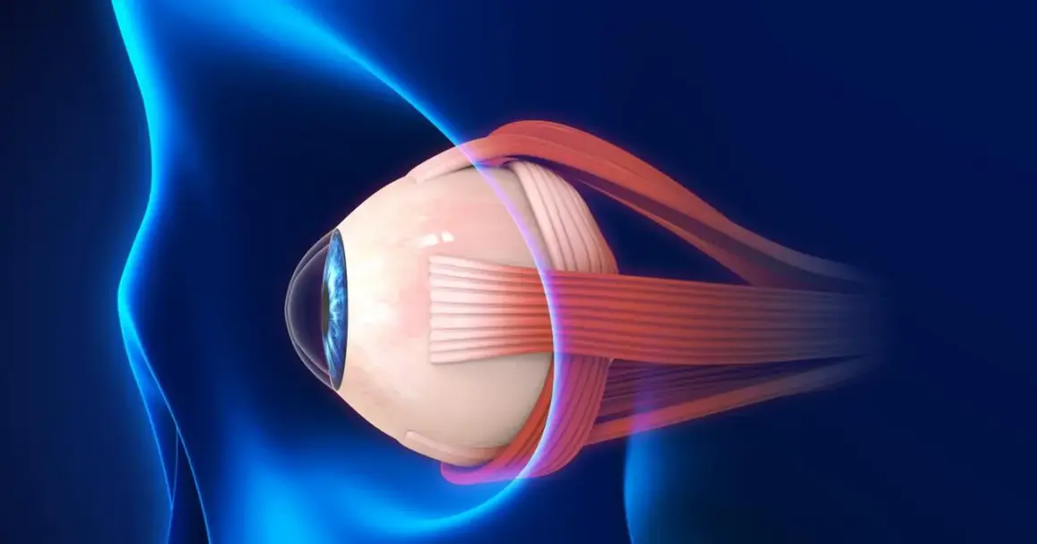 Anatomical illustration of a human eye with optic nerve and muscles, against a dark blue background with blue light effects.