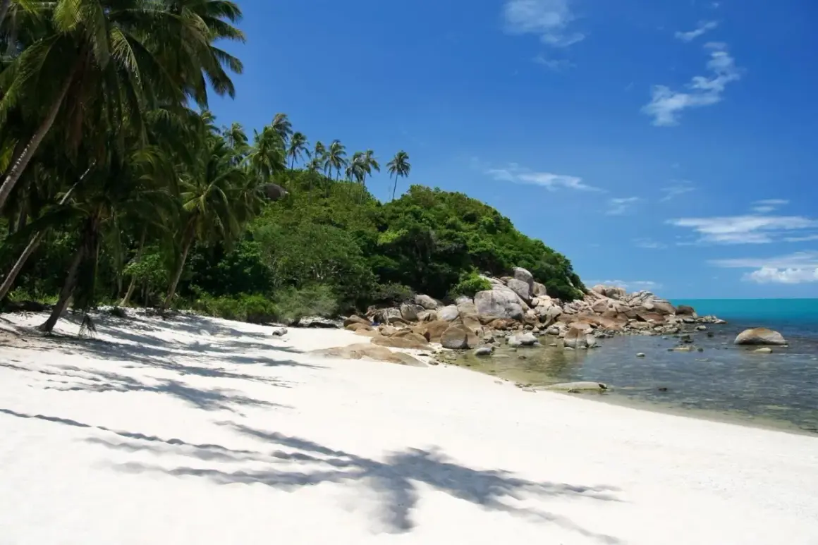 En vit sandstrand med palmer och en grön kulle möter det turkosa vattnet. En idyllisk kubmanet thailand-dröm.