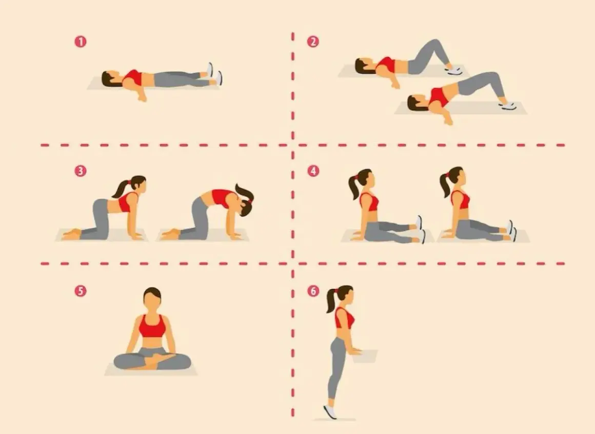 Série d'exercices pour renforcer le plancher pelvien, incluant des mouvements au sol et assis. Idéal pour un excercice de kegel complet.