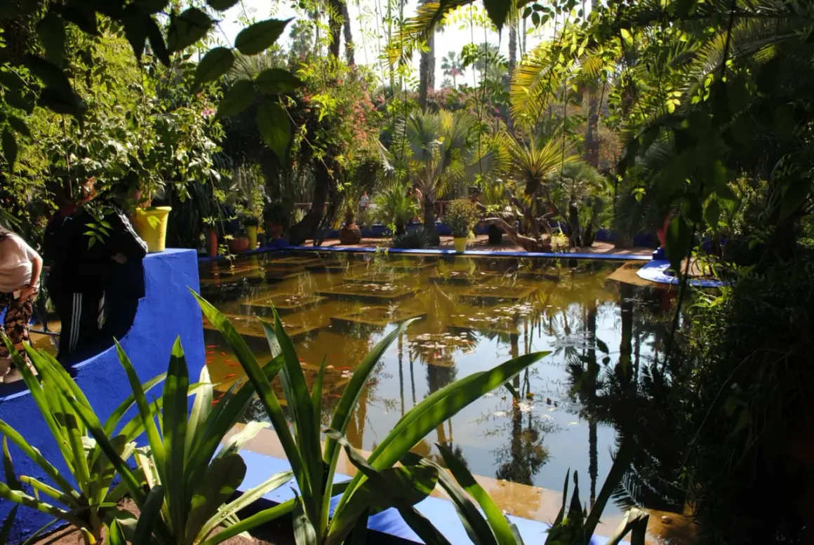 Un bassin d'eau reflète la végétation luxuriante. Sa **bordure de bassin en pierre**, peinte en bleu vif, contraste avec les tons verts et bruns du jardin exotique.