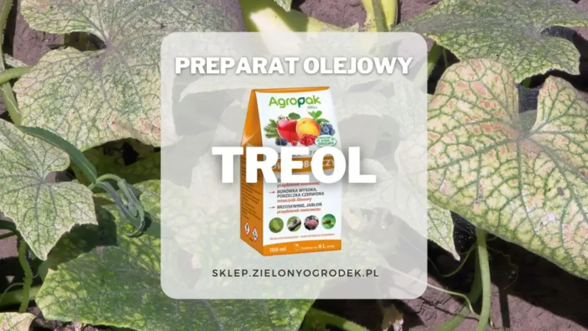 Pudełko preparatu Treol na tle liści roślin.
