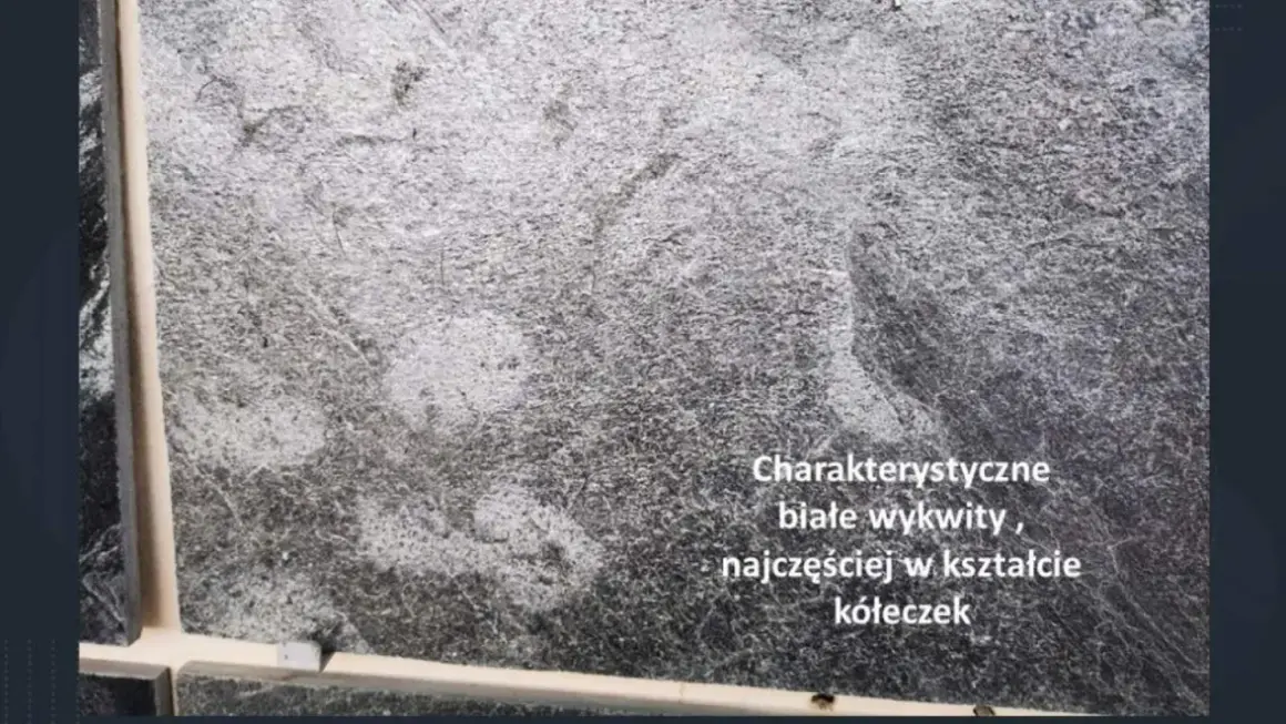 Szara płytka gresowa z charakterystycznym białym nalotem, tworzącym wzory przypominające kółeczka.