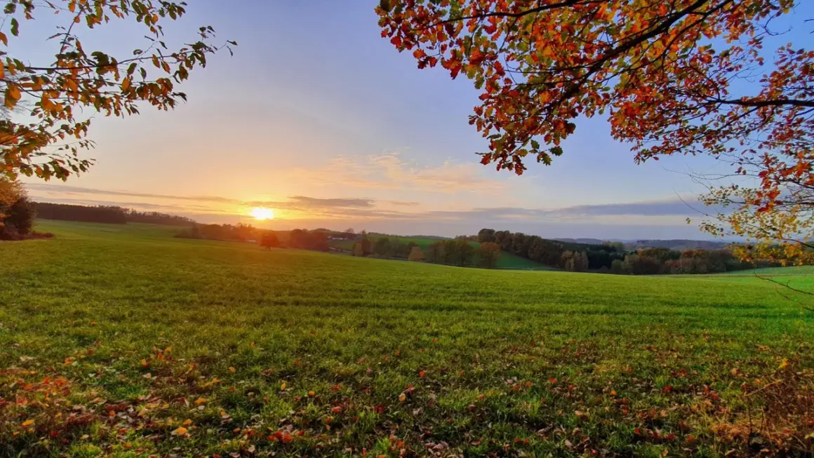 Herbstlicher Sonnenuntergang über grünen Feldern, ideal für eine Tour auf dem bergischen Weg mit Komoot.