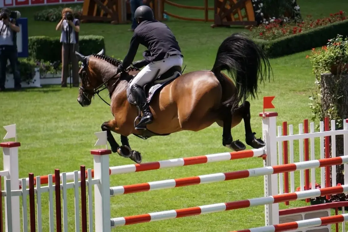 Ein Reiter mit schwarzer Kleidung und Helm springt mit seinem braunen Pferd über ein Hindernis. Ein spannender Moment beim Pferdefest 2024.