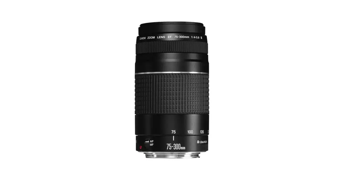 Canon 75-300mm: Czy ten tani zoom to hit czy kit dla amatora?