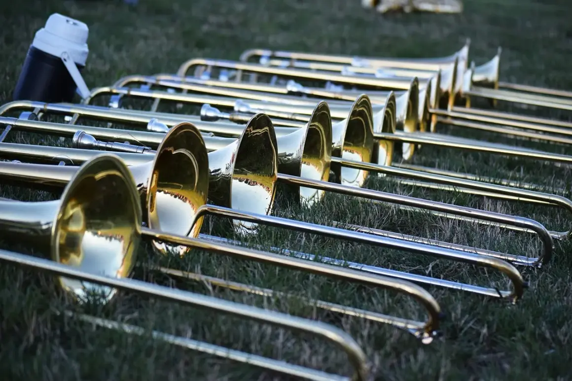 Eine Reihe glänzender Posaunen liegt im Gras. Die Instrumente warten auf ihren Einsatz, vielleicht für ein Konzert oder eine Parade.