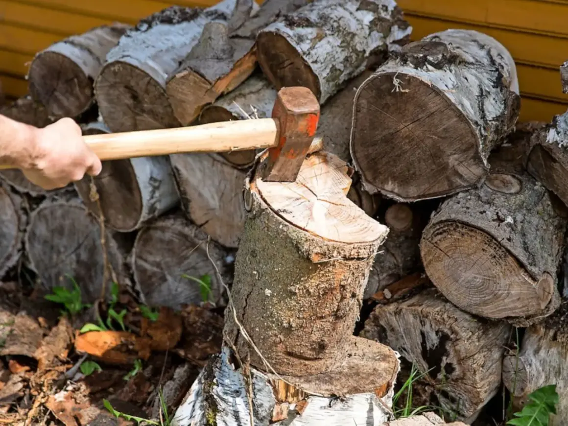 Holz spalten mit Axt. Auch wenn es nass wird, darf Brennholz so gelagert werden, bis es trocken ist.