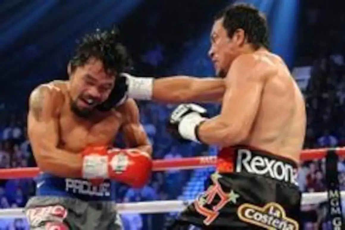 Boxer lands a powerful punch, showcasing the skill of one of the best counter punchers in boxing.