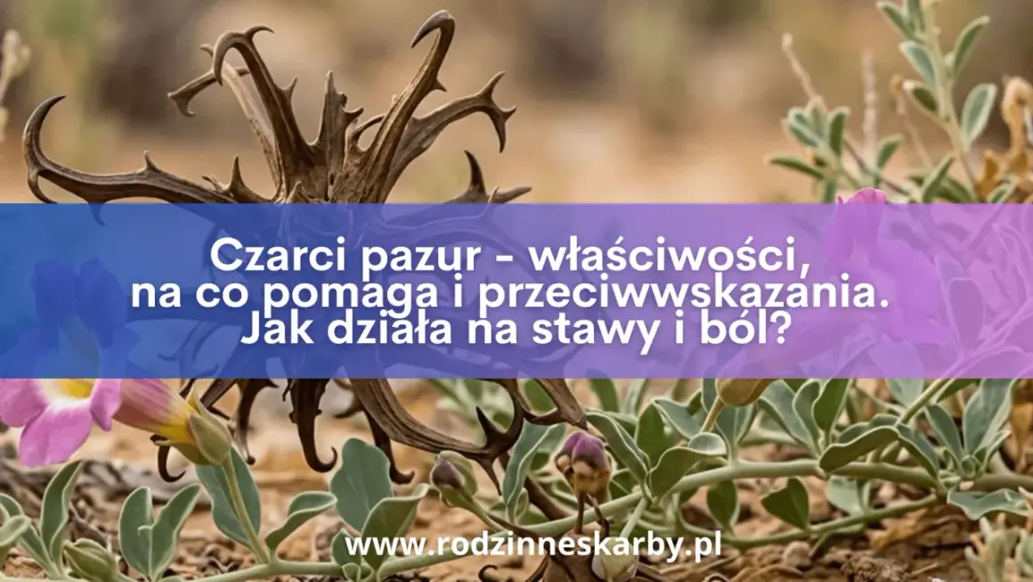 Dzikie pnącza i kwiaty otaczają zasuszone gałązki, przypominające czarci pazur. Tekst informuje o jego właściwościach i działaniu na stawy.
