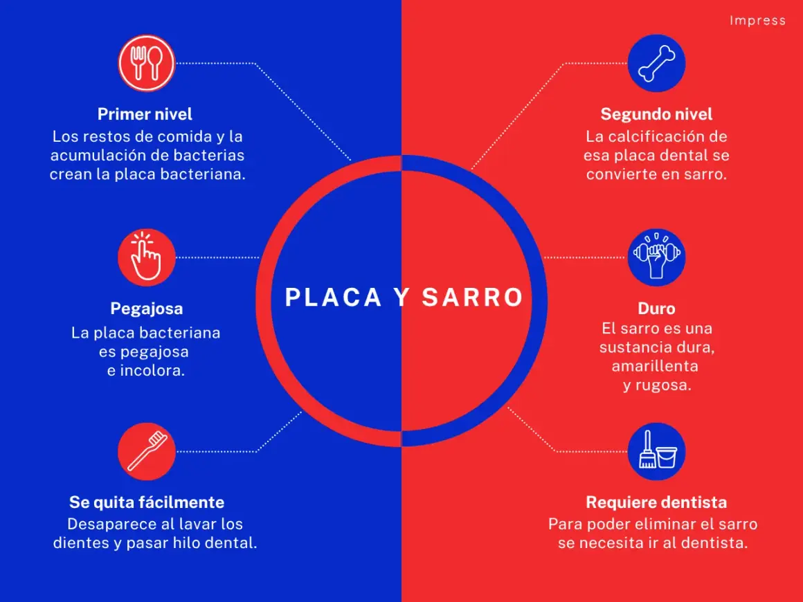 Placa bacteriana pegajosa que, si no se eliminan los restos de comida y se dejan los dientes sin lavar, se calcifica y se convierte en sarro duro.