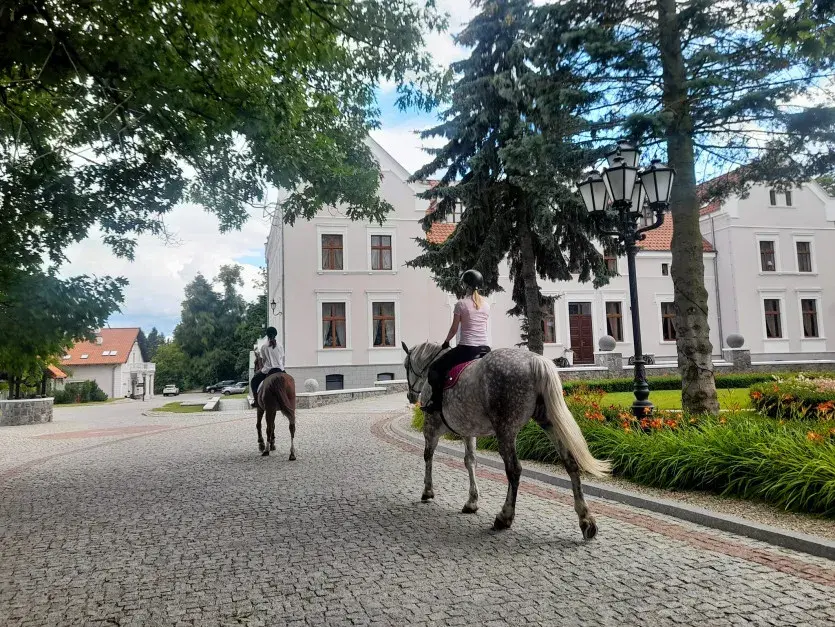Najlepsze stadniny koni w Wołominie - sprawdź oferty i opinie