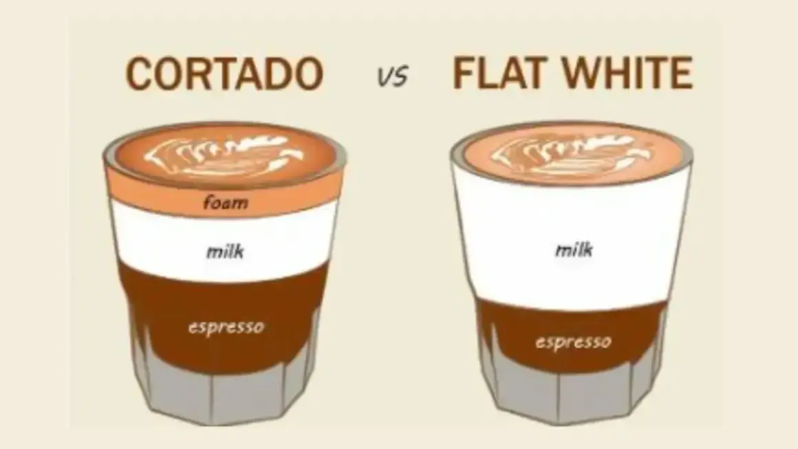 Illustration visar skillnaden mellan flat white och cortado. Cortadon har ett lager skum, medan flat white har mer mjölk.