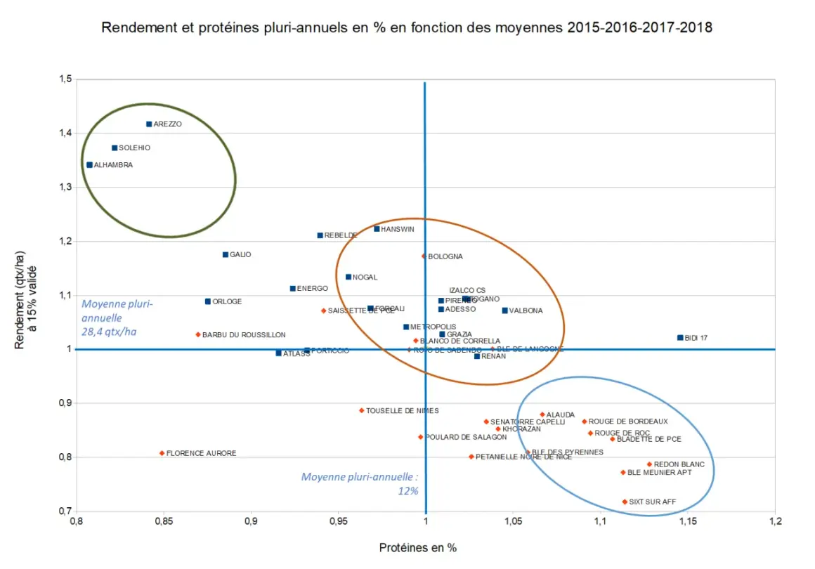 Graphique montrant le rendement et les protéines de blé dur variété. Des points représentent différentes variétés avec leur rendement en qtx/ha et leur teneur en protéines.