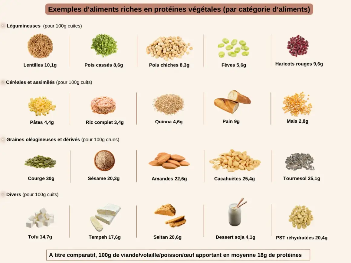 Tableau comparatif des 10 aliments les plus riches en protéines végétales : courge, cacahuètes, tournesol, amandes, sésame, PST réhydratées, seitan, tempeh, tofu, lentilles.