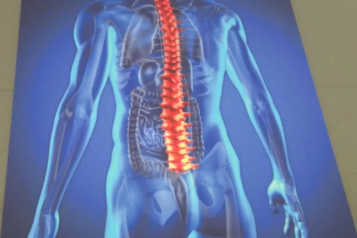 Anatomia człowieka z podświetconym czerwonym kręgosłupem, ilustracja medyczna ukazująca potencjalne problemy ze spondyloartropatią.