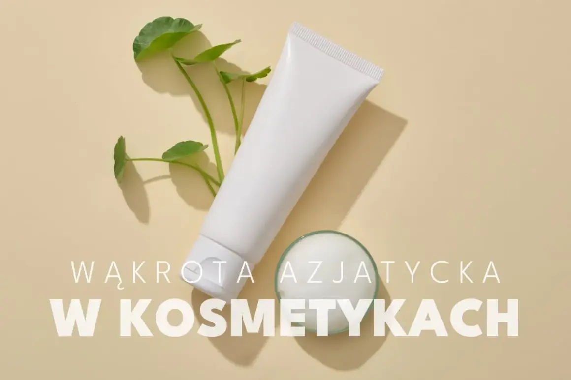 Wąkrota azjatycka w kosmetykach: biała tubka kremu i zielone listki na beżowym tle.
