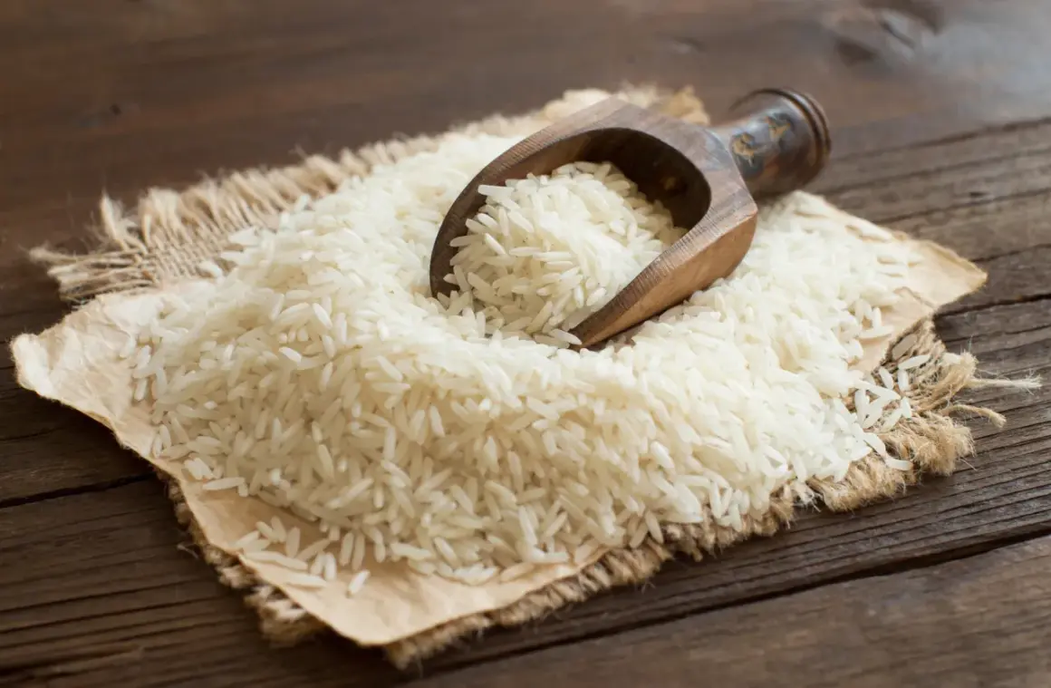Ein Holzlöffel schöpft weißen Langkornreis aus einem Haufen auf Jute. Der Unterschied zwischen Basmati-Reis und Langkornreis ist hier visuell dargestellt.