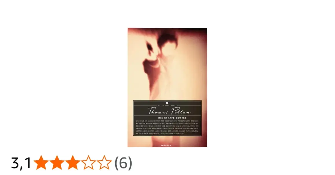 Buchcover "Die Strafe Gottes" von Thomas Pollan. Ein Mann im Schatten, vielleicht ein Opfer oder Täter, im Zentrum.