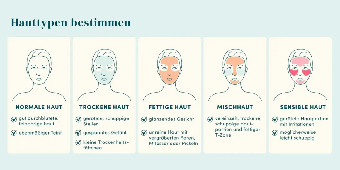 Illustrationen zeigen, wie finde ich meinen hauttyp heraus: normale, trockene, fettige, Mischhaut und sensible Haut mit typischen Merkmalen.