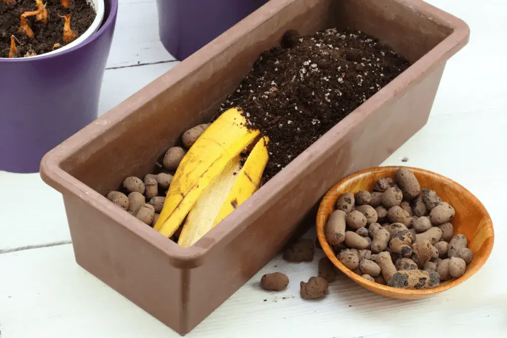 Nawóz ze skórek banana: Które rośliny pokochają tę odżywkę?