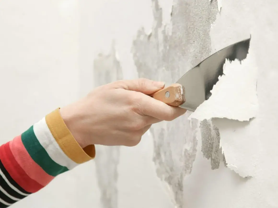 Mano con spatola che rimuove vernice a smalto scrostata dal muro.